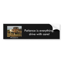 Appaloosa Motivational Gifts bumper stickers by HANDPRINTS Appaloosa Motivational Gifts bumper stickers