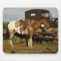Appaloosa Motivational Gifts mousepads