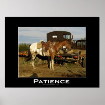 Appaloosa Motivational Poster