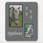 Appaloosa Mousepad