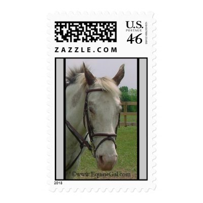 Appaloosa Postage by EquineGal
