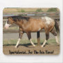 Appaloosa sportaloosa fun times mousepads