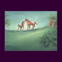 APPALOOSA SPOTS by SHARON SHARPE postcards