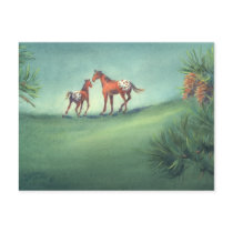 APPALOOSA SPOTS by SHARON SHARPE postcards by sharonsharpe APPALOOSA SPOTS by SHARON SHARPE postcards