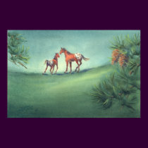 APPALOOSA SPOTS by SHARON SHARPE posters