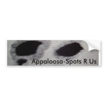Appaloosa-Spots R Us Bumper Stickers