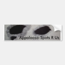 Appaloosa-Spots R Us Bumper Stickers