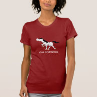 Appaloosa Spotted Horse Lover Shirt Gift