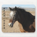 Appaloosa Spotted Horse Spirit - Nez Perce Friend Mousepad