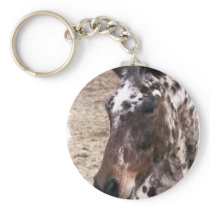 Appaloosa Stallions Keychain