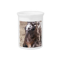 Appaloosa Stallions Pitcher