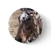 Appaloosa Stallions Round Button