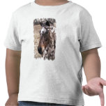 Appaloosa Stallions Toddler T-Shirt