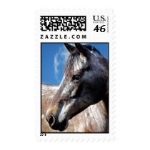 Appaloosa Stamp