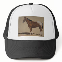 Appaloosa Standing Hats