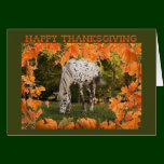 Appaloosa Thanksgiving cards