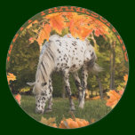 Appaloosa Thanksgiving stickers