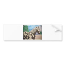 Appaloosa winter bumper sticker