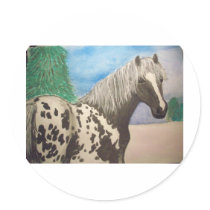 Appaloosa winter round stickers