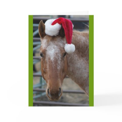 Appaloosa with Santa Hat Card by DeeWrightArt