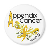 Appendix Cancer BUTTERFLY 3.1 magnets by awarenessgifts Appendix Cancer BUTTERFLY 3.1 magnets