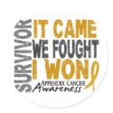 Appendix Cancer Survivor It Came We Fought I Won stickers by awarenessgifts Appendix Cancer Survivor It Came We Fought I Won stickers
