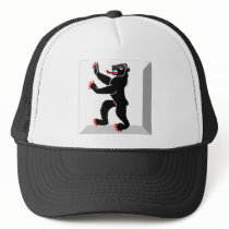 Appenzell-Innerrhoden Flag Gem hats by Vexillophile Appenzell-Innerrhoden Flag Gem hats