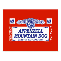 Appenzell Mountain Dog Post Card