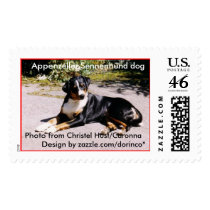 Appenzeller Sennenhund postage
