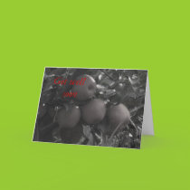Apple a Day Blank Card cards