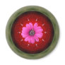 apple and daisy fridge magnet