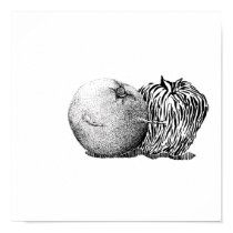 apple and orange posters