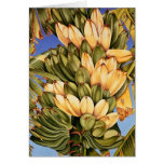 Apple Bananas Cards