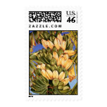 Apple Bananas Postage Stamp