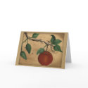 Apple Birthday Card