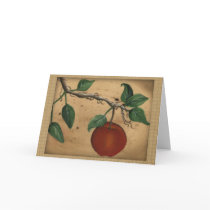 Apple Birthday Card by Mousefx Apple Birthday Card