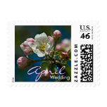 Apple Blossom • April Wedding Stamp