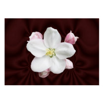 Apple Blossom ~ ATC card business cards by Andy2302 Apple Blossom ~ ATC card business cards