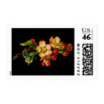 apple blossom flower stamp