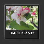 Apple Blossom | Magnet magnets