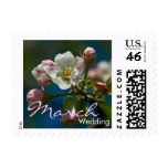 Apple Blossom • March Wedding Stamp