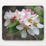 apple blossom mouse pad mousepads