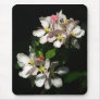 Apple Blossom Mousemats