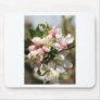 Apple blossom mouse mats