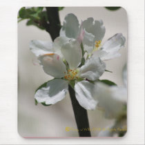 Apple Blossom Mousepad