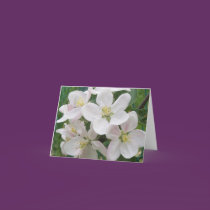 Apple Blossom Note Card