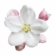 Apple Blossom ~ ornament photo sculptures
