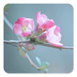 Apple Laptop Vinyl Stickers | apple, tree, branch, flower, summer, photograph, apple, tree, branch, flower, summer, photograph,