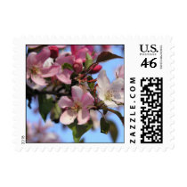 Apple Blossom Stamp