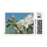 Apple Blossom Stamp